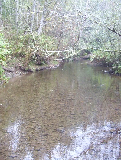 Creek.